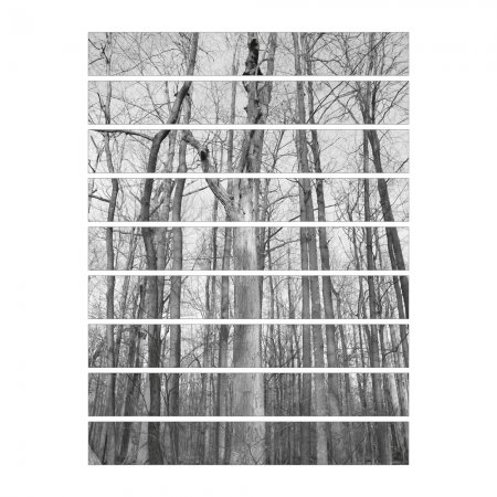 Αυτοκόλλητο σκάλας (Τιμή ανά τεμάχιο) - Δέντρα ασπρόμαυρο